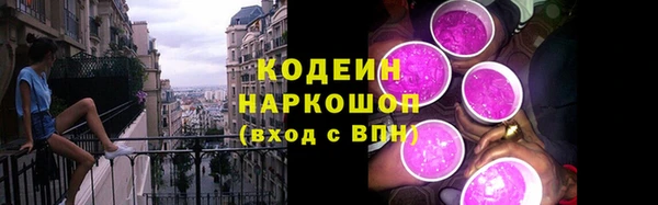 ешки Осинники