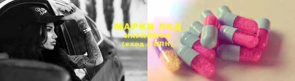 ECSTASY Алзамай