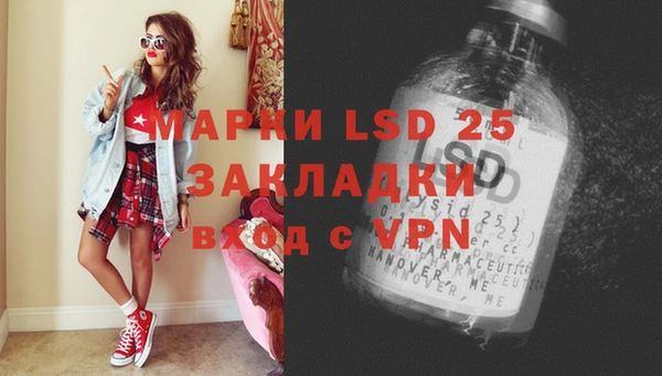ECSTASY Алзамай