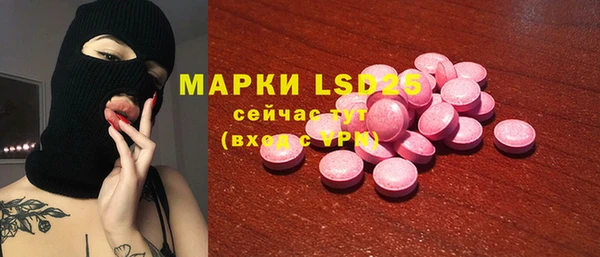 ECSTASY Алзамай