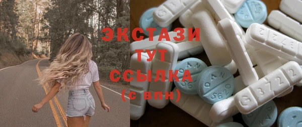 ECSTASY Алзамай